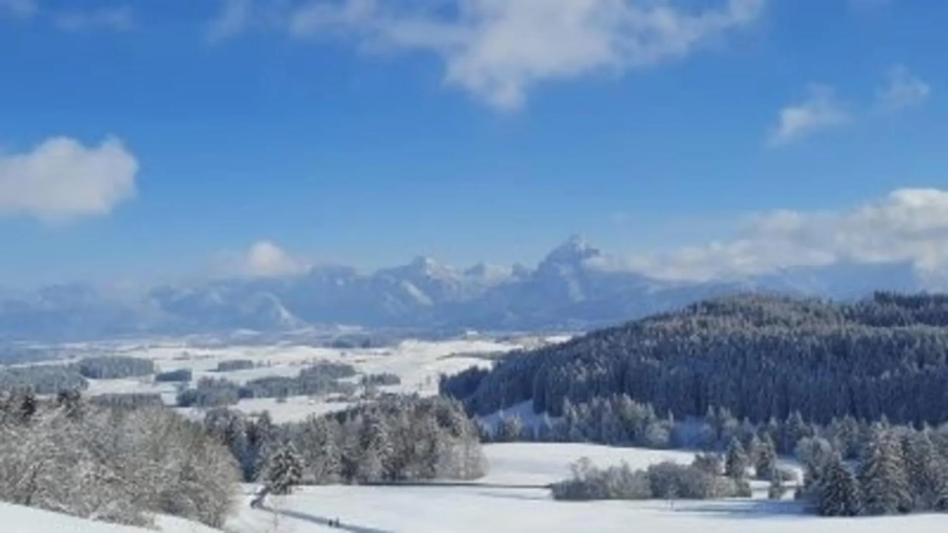 Apartment Ferienhof Hefele Zimmer Alpsee Mit Koenigscard Hopferau