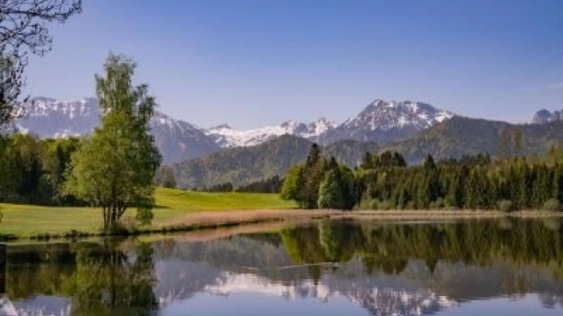Ferienhof Hefele Zimmer Alpsee Mit Koenigscard Hopferau